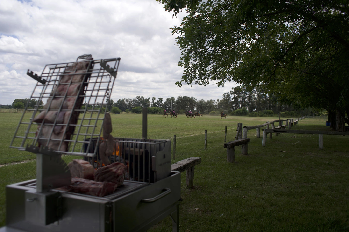 Tagwood BBQ Argentine Clamp Grill with firebox | BBQ33SS --