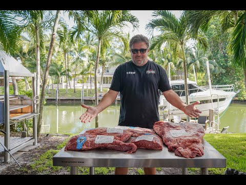 Tagwood BBQ Argentine Santa Maria Wood Fire & Charcoal Gaucho Grill all Stainless Steel | BBQ12SS