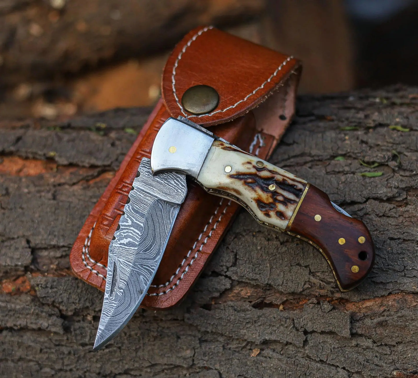 Stag Horn Folding Kitchen Knife