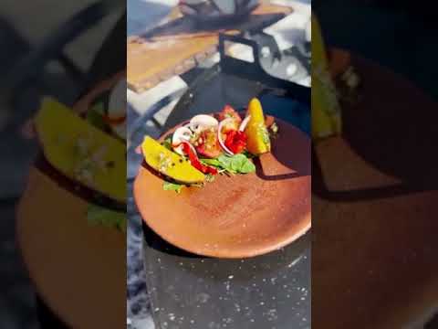 Tromen Duomo Firepit Open Fire Argentine Grill with Trolley